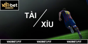 Cách Đọc Vị Biến Động Odds Kèo Tài Xỉu 1.5 Để Tăng Tỷ Lệ Thắng